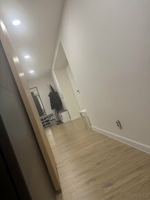 Byt 2kk, cihla, osobní vlastnictví 60m2, po rekonstrukci - 6