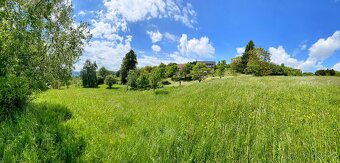 Jedinečný stavební pozemek v Žítkové-3484m2,elektřina,studna - 6