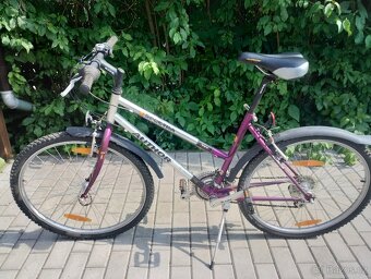 Dámské (dívčí) kolo Author spectra - 6