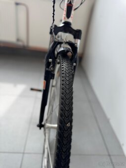 Alpina Eco C10 - 6