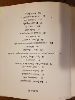 Božena Němcová a její díla - 6