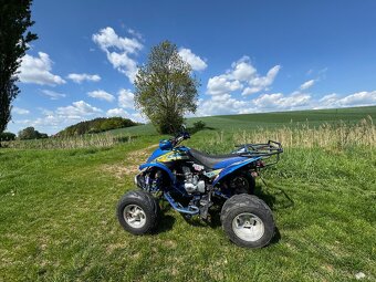 Shineray Stixe 250cm3 - 6