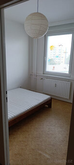 Pronájem 2+kk Prachatická, České Budějovice - 6