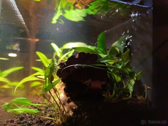 Xiaomi Mijia Smart Fish Tank MYG100 - nové akvarium 20l - 6