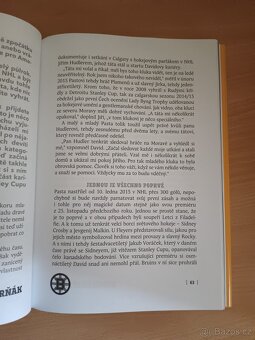 David Pastrňák Démon z Havířova - 6