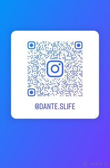 Labradorský retriever s PP ke krytí - chovný pes - 6