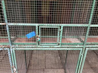 Prodám voliéry - 6