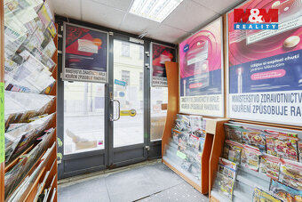 Pronájem obchod a služby, 33 m², Plzeň, ul. Goethova - 6