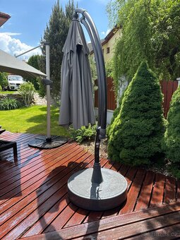 Prodam velky slunecnik - 6
