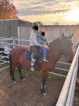 Valach na prodej - 6