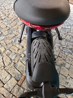 Triumph Trident 660 - 6