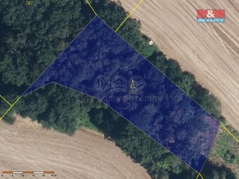 Prodej lesa, 2585 m², Cidlina, okr. Jičín - 6