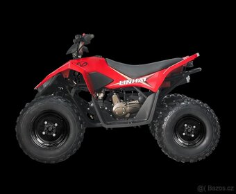 LINHAI ATV 110 2X4 EFI CE - 6
