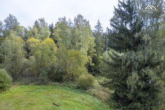 Prodej lesa, 2232 m2, Všeradov - 6