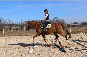 Líbivá charakterní pony klisna - 6