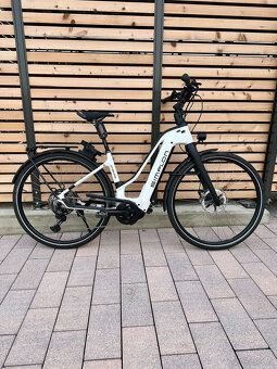 Pohon Simplon Chenoa Carbon Shimano XT11 Bosch CX 23KG - 6