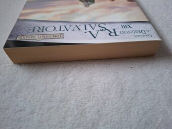 Mečové moře - R.A. Salvatore - 6