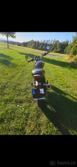 TRIUMPH Speed 400 (2024) - 6