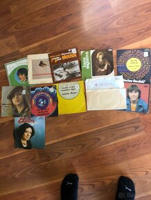 Prodám sbírku gramofonových desek - 6