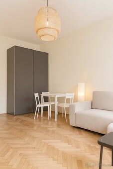 K pronájmu: Kompletně zařízený byt 1+kk - 6