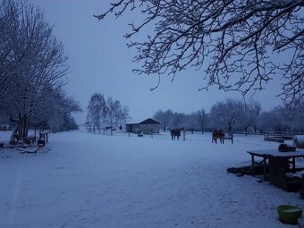 Pastevní ustájení Řehovice u Neveklova - 6
