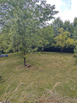 RD s pozemkem 6175m2 Závišice - 6