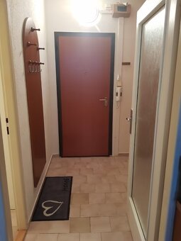 Pronájem 1+kk - 6