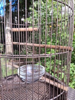 Klec na exoty zn. ZOLUX - 6