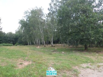 Prodej pozemky pro bydlení, 6 184 m2 - Dubí - Drahůnky - 6