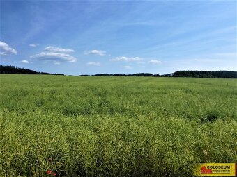 Letovice - zemědělská půda  7 225 m² - pozemek - 6