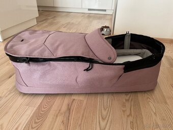 Kocarek Joolz day - 6