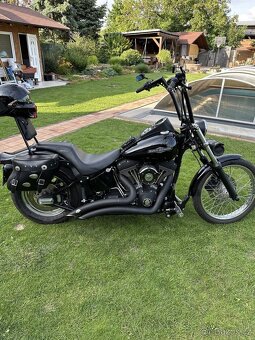 Harley Davidson fxsti Softail Standard - 6