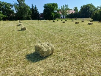 seno malé balíky - 6