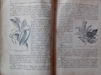 Nauka o zboží pro kupecké školy pokračovací - 6