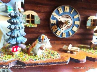 Hezke, kukacky, Schwarzwald - 6