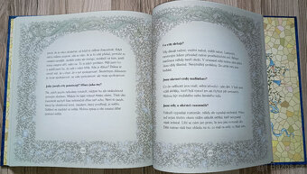Sri Chinmoy - Andělé a víly - 6