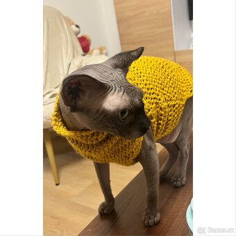 Oblečky pro Sphynx - 6