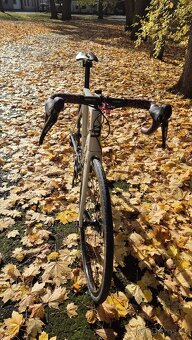 Basso Venta Disc 105 vel. 56 - 6