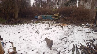 Prodej domu Obrnice 2 km od Mostu - 6