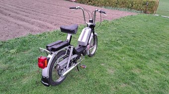 Babetta - 6