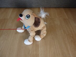 Pejsek Floppy na vodítku - 6