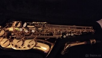 Harmonika DELÍCIA Carmen 3+ sax alt - 6