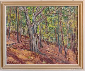 Sbirka obrazů, vše od Jirka Jirásek, olej na plátně, 60.léta - 6