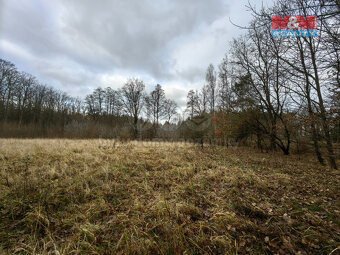 Prodej pole, 4752 m², Borohrádek - 6