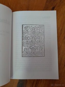 Výjimečná kniha Jaromíra Kozáka, Jiříkovo vidění - 6