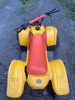 Čtyřkolka bombardier - 6