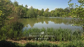 Prodej rybníku (vodní plochy 18921) Žabeń, ev.č. 00503 - 6