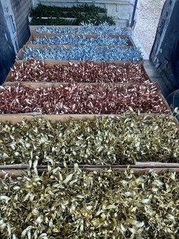 Prodáme vánoční jmelí 🌿🌿 - 6