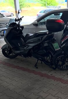 KENTOYA Maximus, Torax - 6