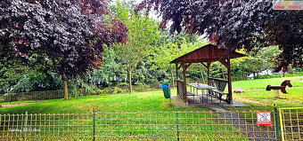 Pronájem bytu 1+KK v Kyselce 21m2 - 6